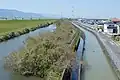 弥富市を流れる筏川と海部幹線水路（右）