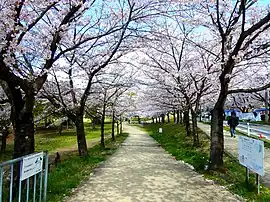 雨池公園
