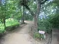 万葉植物園路