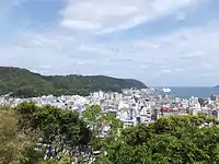 奄美市(奄美群島)