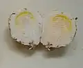 卵状の構造物の中で既に子実体が完成している