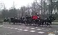 特命全権大使らを送迎するオランダ王宮府の儀装馬車