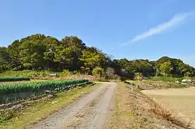 網野銚子山古墳