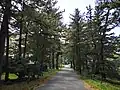 参道