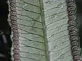 その拡大