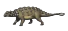 Ankylosaurus magniventris