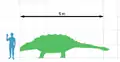 ヒトとの大きさ比較