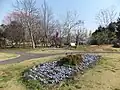 花博記念庭園