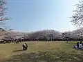 わんぱく広場