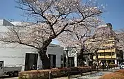 青山霊園管理所(2018年3月撮影)界隈にはお墓参りや斎事、清掃代行など管理等を請け負う墓地茶屋や花屋、石材店などが連なる