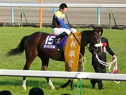 第15回優勝馬アパパネ（鞍上、蛯名正義）