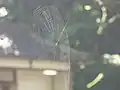 網の本体部分