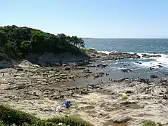 夕日の丘から見た海岸