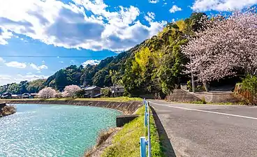平等寺にほど近い桑野川中流部（新野町）