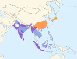分布域