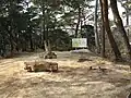 荒地山の山頂