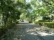 有明テニスの森公園