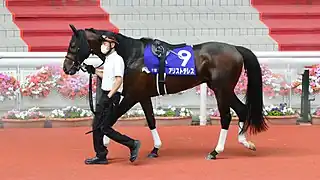 アリストテレス