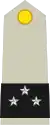 フランス陸軍少将(Général de division)