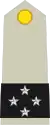 フランス陸軍中将（Général de corps d'armée）