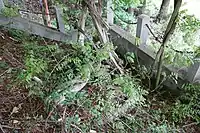 根回り。