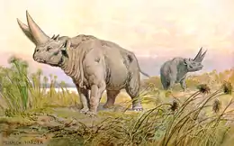 †アルシノイテリウム Arsinoitherium (始新世- 漸新世、重脚目)