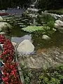 香港公園の人造湖