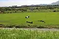 高梁川の河川敷まで吹き飛んだ朝日アルミ産業の部品。飛翔距離は200ｍ程