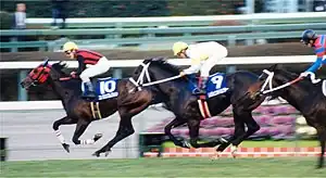第51回優勝馬エイシンプレストン