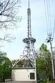 TVh