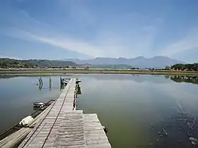 浅科大池