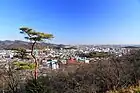 織姫公園より見下ろす足利市