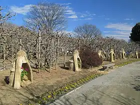 早春
