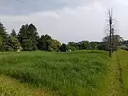 場北西から撮影