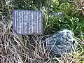 犬塚