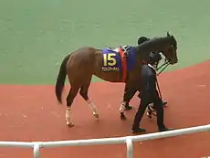 2007桜花賞