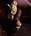   WWE女子タッグ王座