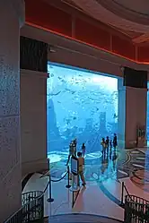 ホテルのアクアリウム「ロストチェンバー水族館」