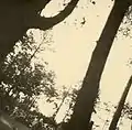 1944年8月 アウシュヴィッツ=ビルケナウ強制収容所