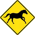 (W5-46) 馬