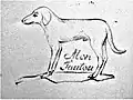 「犬」