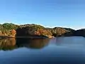 秋の黒田ダム