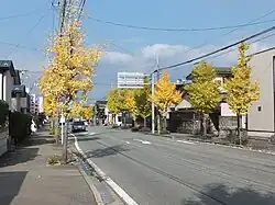 秋の東通