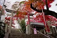 秋の紅葉