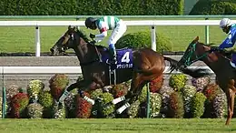 第16回優勝馬アヴェンチュラ（鞍上、岩田康誠）