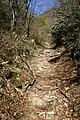 滋賀県側の登山道、石畳が残る