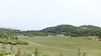 森のゾーン