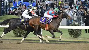2016年優勝馬アウォーディー