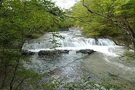 春の不動の滝