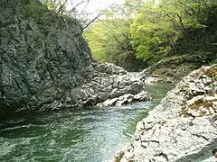 春